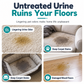 🐶 Pet Urine Stain & Odour Remover Spray 150ml | Targeted Fabric & Home Surface Cleaner | Pet-Care Routine