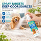 🐶 Pet Urine Stain & Odour Remover Spray 150ml | Targeted Fabric & Home Surface Cleaner | Pet-Care Routine